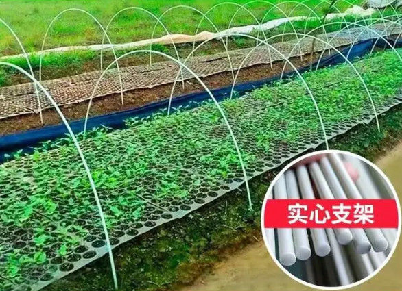 piantatura di plastica a fibra rinforzata della serra di 10mm Rod Flexible Fiberglass Rods For